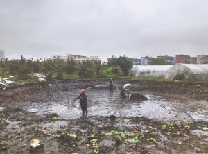 巴南河道鱼塘清淤